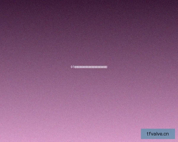 91看网页版：数字浪潮中的冲浪秘籍，开启无限可能